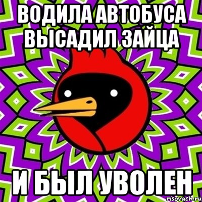 водила автобуса высадил зайца и был уволен, Мем Омская птица