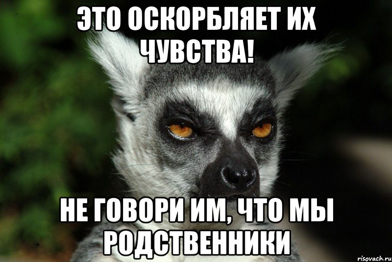 это оскорбляет их чувства! не говори им, что мы родственники, Мем Они опять сделали это