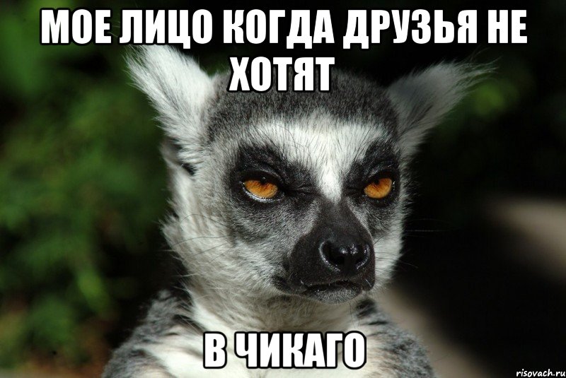 мое лицо когда друзья не хотят в чикаго, Мем Они опять сделали это