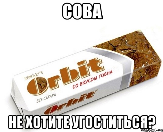 сова не хотите угоститься?