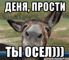 деня, прости ты осел)))