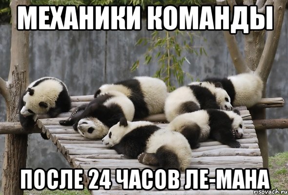 механики команды после 24 часов ле-мана, Мем панды