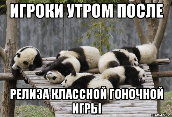 игроки утром после релиза классной гоночной игры, Мем панды