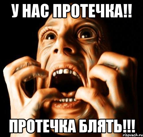у нас протечка!! протечка блять!!!, Мем Паника