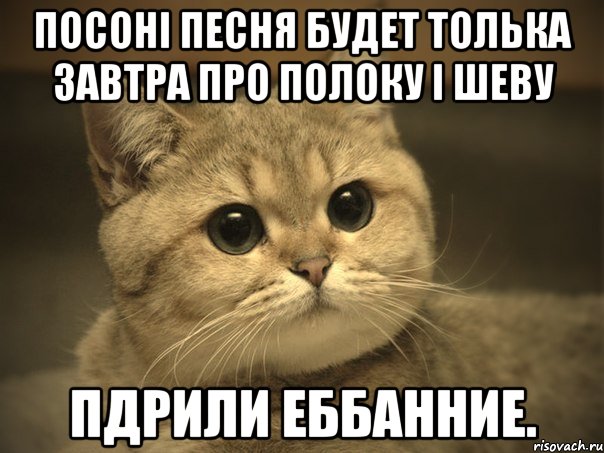 посоні песня будет толька завтра про полоку і шеву пдрили еббанние., Мем Пидрила ебаная котик