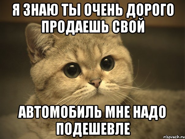 я знаю ты очень дорого продаешь свой автомобиль мне надо подешевле, Мем Пидрила ебаная котик