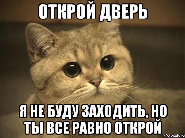 открой дверь я не буду заходить, но ты все равно открой, Мем Пидрила ебаная котик