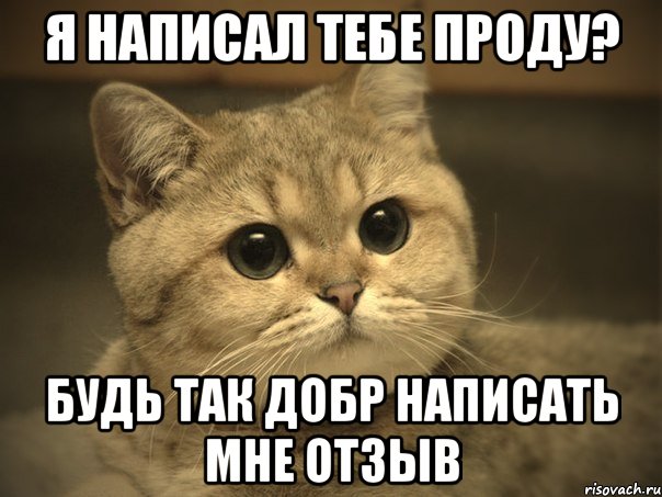 я написал тебе проду? будь так добр написать мне отзыв, Мем Пидрила ебаная котик