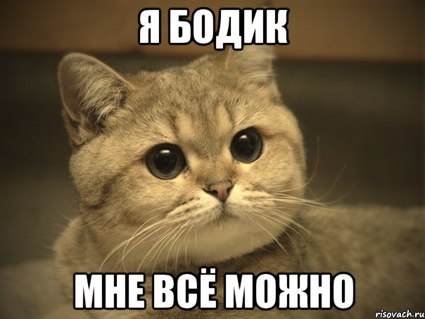 я бодик мне всё можно, Мем Пидрила ебаная котик