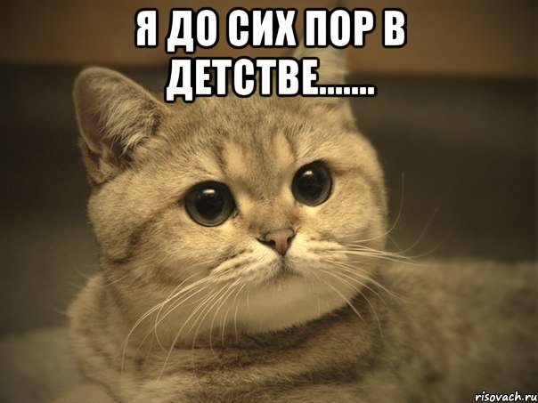 я до сих пор в детстве....... , Мем Пидрила ебаная котик