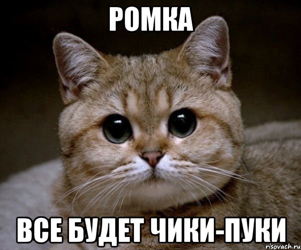 ромка все будет чики-пуки, Мем Пидрила Ебаная