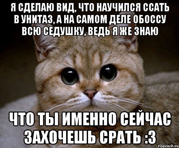 я сделаю вид, что научился ссать в унитаз, а на самом деле обоссу всю седушку, ведь я же знаю что ты именно сейчас захочешь срать :3, Мем Пидрила Ебаная