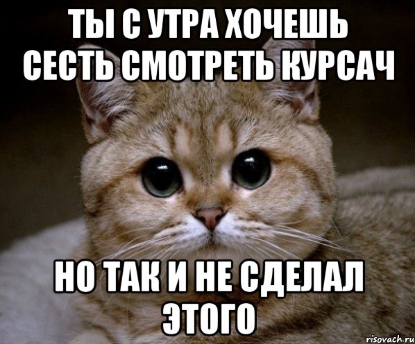 ты с утра хочешь сесть смотреть курсач но так и не сделал этого, Мем Пидрила Ебаная