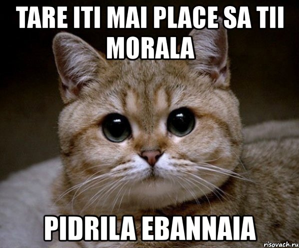 tare iti mai place sa tii morala pidrila ebannaia, Мем Пидрила Ебаная