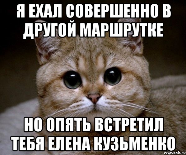 я ехал совершенно в другой маршрутке но опять встретил тебя елена кузьменко, Мем Пидрила Ебаная