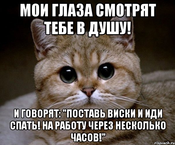 мои глаза смотрят тебе в душу! и говорят: "поставь виски и иди спать! на работу через несколько часов!", Мем Пидрила Ебаная