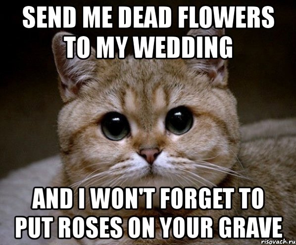 send me dead flowers to my wedding and i won't forget to put roses on your grave, Мем Пидрила Ебаная