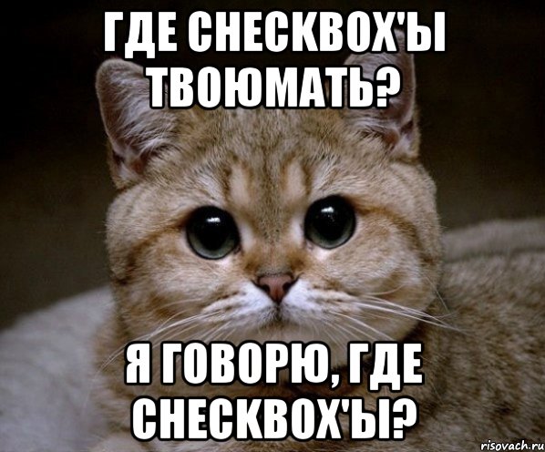 где checkbox'ы твоюмать? я говорю, где checkbox'ы?, Мем Пидрила Ебаная