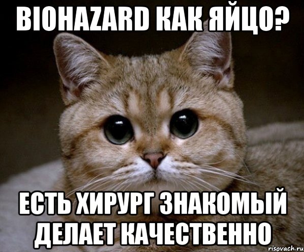 biohazard как яйцо? есть хирург знакомый делает качественно, Мем Пидрила Ебаная