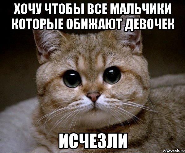 хочу чтобы все мальчики которые обижают девочек исчезли, Мем Пидрила Ебаная