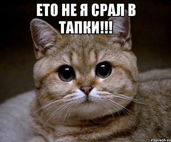 ето не я срал в тапки!!! , Мем Пидрила Ебаная