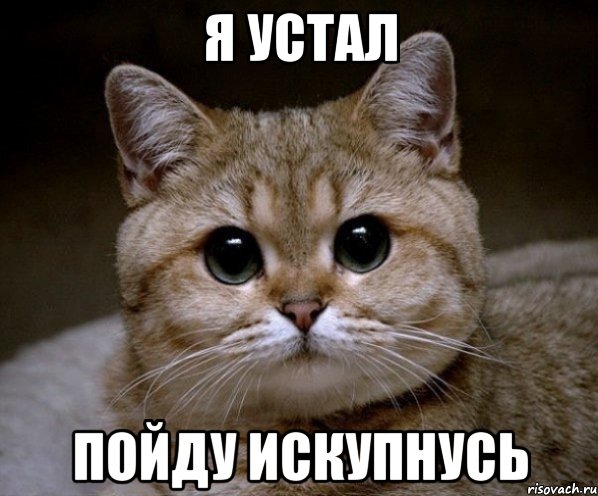 я устал пойду искупнусь, Мем Пидрила Ебаная