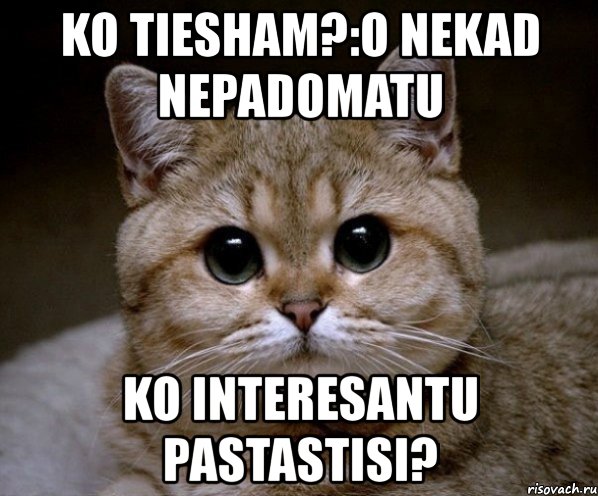 ko tiesham?:o nekad nepadomatu ko interesantu pastastisi?, Мем Пидрила Ебаная