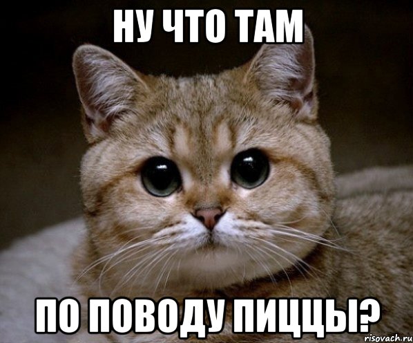 ну что там по поводу пиццы?, Мем Пидрила Ебаная