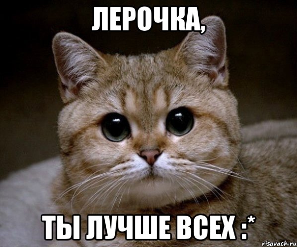 лерочка, ты лучше всех :*, Мем Пидрила Ебаная