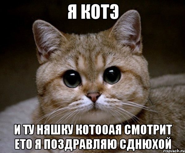 я котэ и ту няшку котооая смотрит ето я поздравляю сднюхой, Мем Пидрила Ебаная