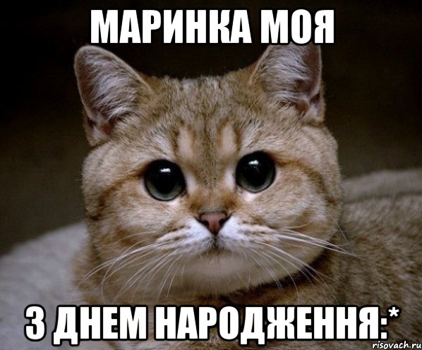 маринка моя з днем народження:*, Мем Пидрила Ебаная