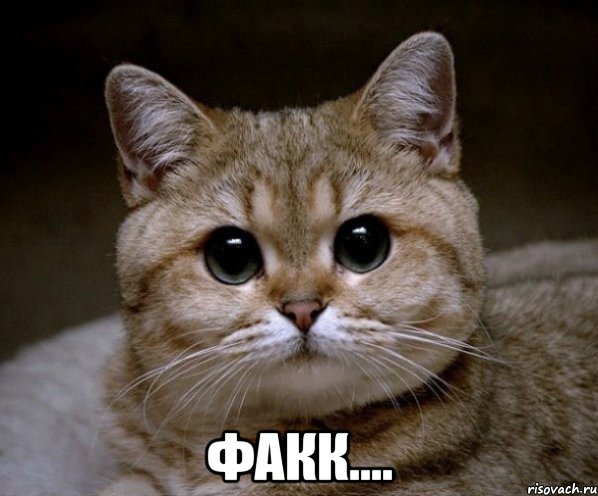  факк...., Мем Пидрила Ебаная