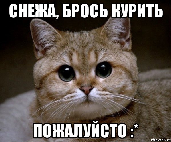 снежа, брось курить пожалуйсто :*, Мем Пидрила Ебаная