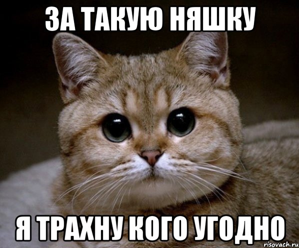 за такую няшку я трахну кого угодно, Мем Пидрила Ебаная