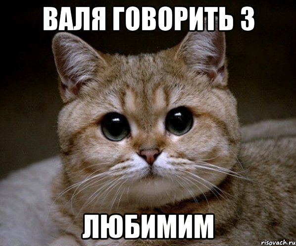 валя говорить з любимим, Мем Пидрила Ебаная