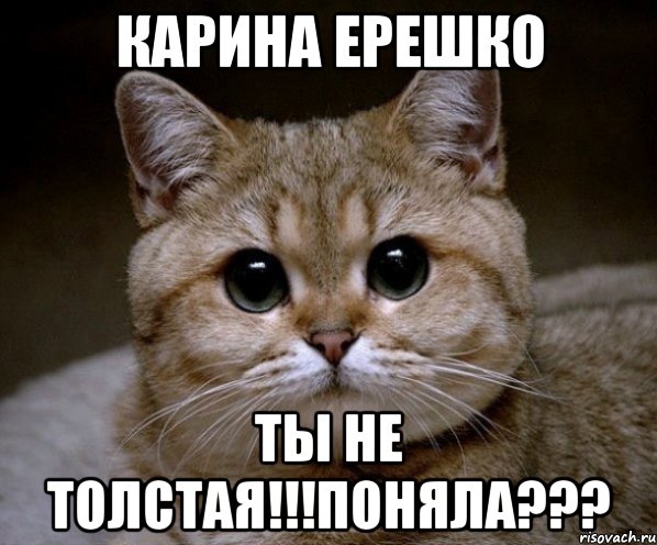 карина ерешко ты не толстая!!!поняла???, Мем Пидрила Ебаная