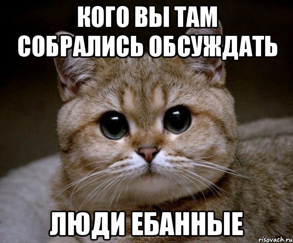 кого вы там собрались обсуждать люди ебанные, Мем Пидрила Ебаная