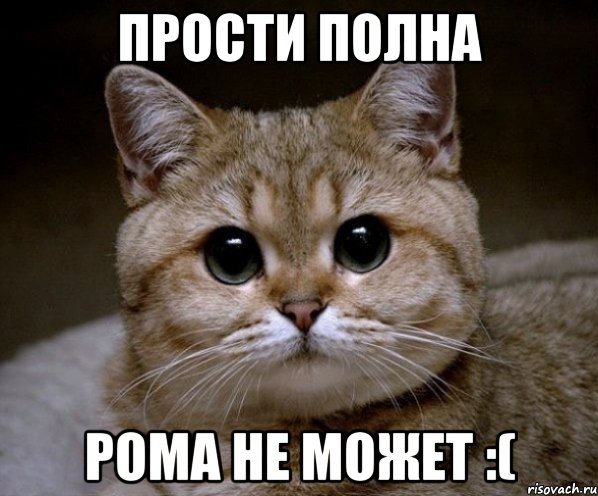 прости полна рома не может :(, Мем Пидрила Ебаная