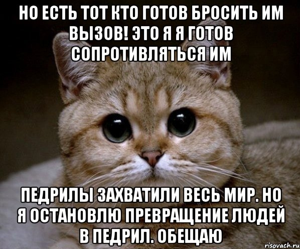 но есть тот кто готов бросить им вызов! это я я готов сопротивляться им педрилы захватили весь мир. но я остановлю превращение людей в педрил. обещаю, Мем Пидрила Ебаная