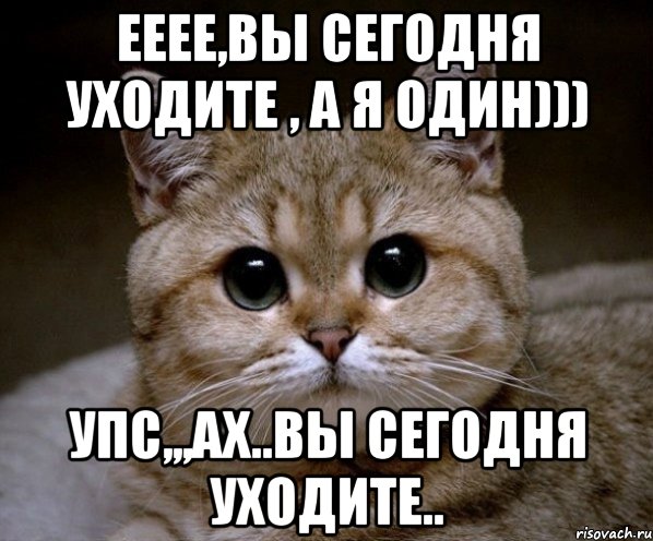 ееее,вы сегодня уходите , а я один))) упс,,,ах..вы сегодня уходите.., Мем Пидрила Ебаная
