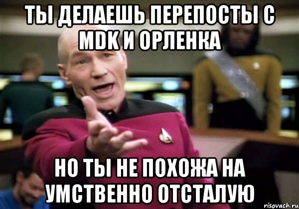 ты делаешь перепосты с mdk и орленка но ты не похожа на умственно отсталую