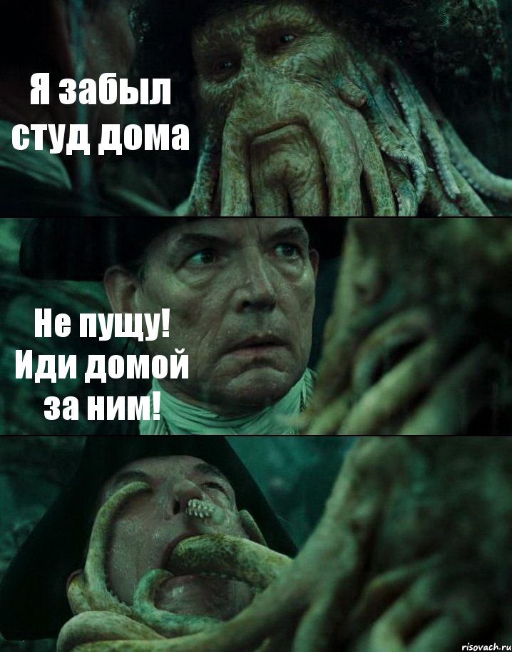 Я забыл студ дома Не пущу! Иди домой за ним! , Комикс Пираты Карибского моря