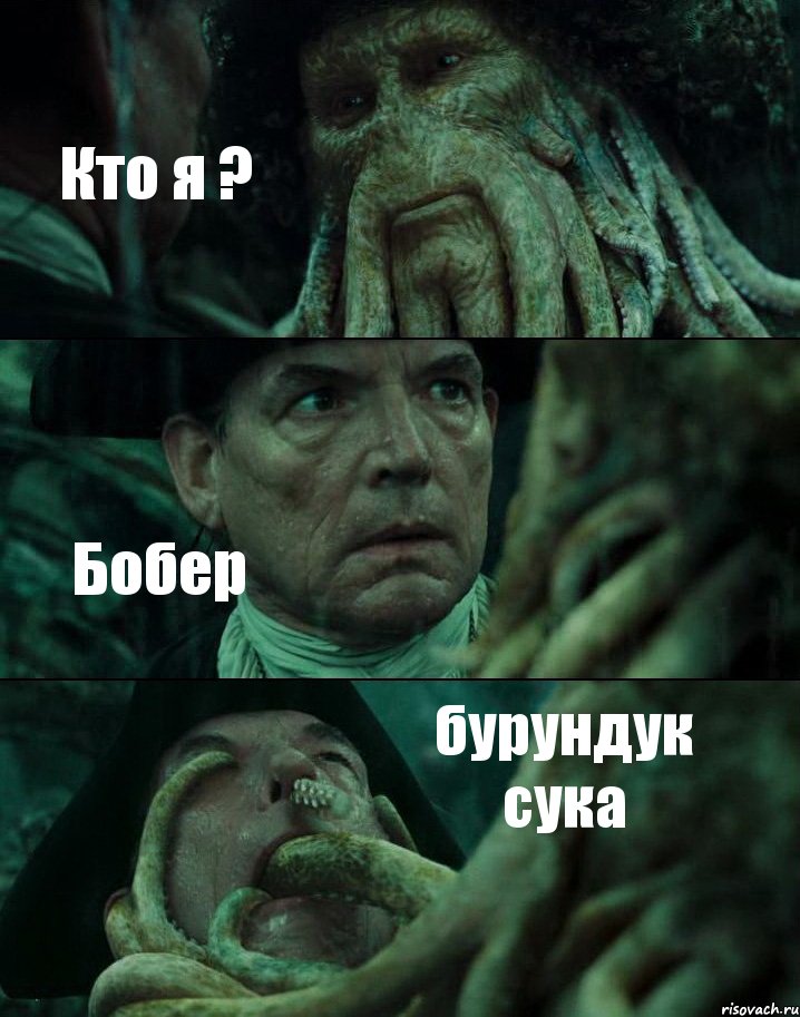 Кто я ? Бобер бурундук сука, Комикс Пираты Карибского моря