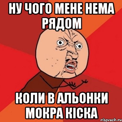 ну чого мене нема рядом коли в альонки мокра кіска, Мем Почему