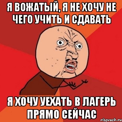 я вожатый, я не хочу не чего учить и сдавать я хочу уехать в лагерь прямо сейчас, Мем Почему