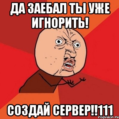 да заебал ты уже игнорить! создай сервер!!111, Мем Почему