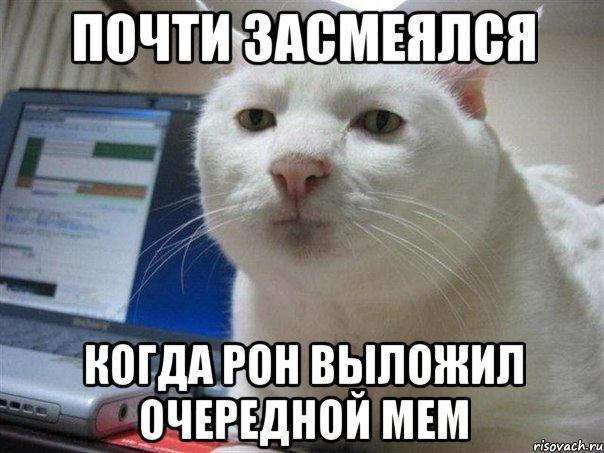 почти засмеялся когда рон выложил очередной мем