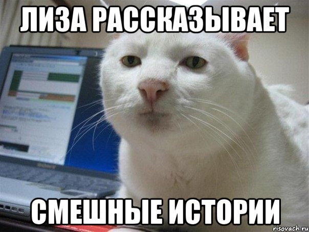 лиза рассказывает смешные истории