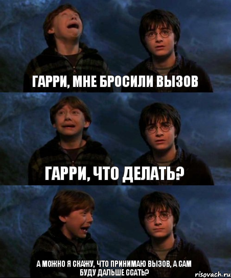 Гарри, мне бросили вызов Гарри, что делать? а можно я скажу, что принимаю вызов, а сам буду дальше ссать?