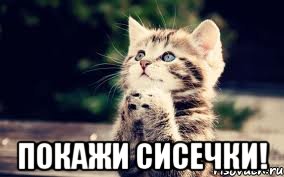  покажи сисечки!